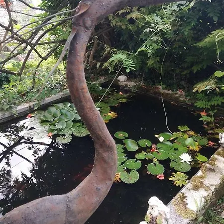 Rum i privatbostad Le - Au Bord Du D' Annecy - - Veyrier-du-Lac